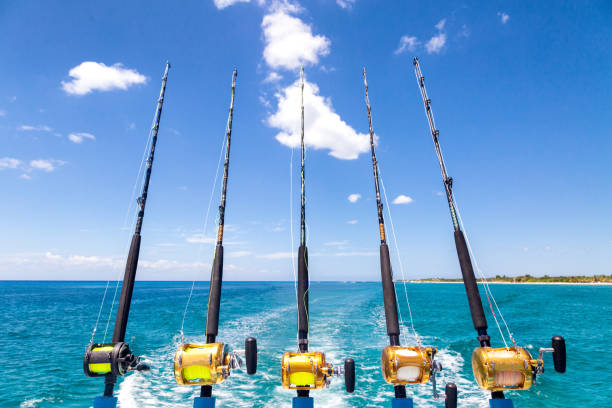 Row of five